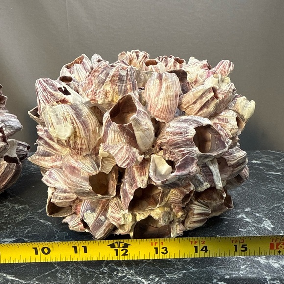 Decorative Barnacle Clusters - Purple and Cream sconces candle holders - Picture 15 of 15